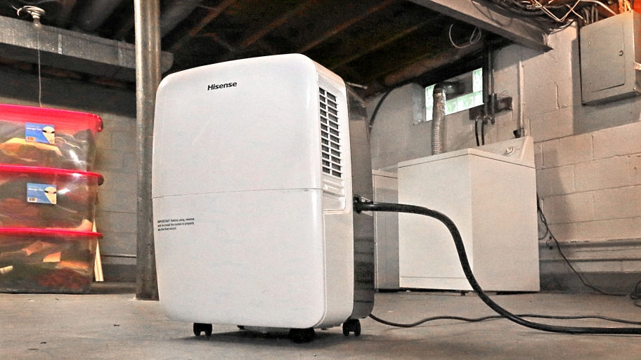 How to Choose a Basement Dehumidifier Angie's List
